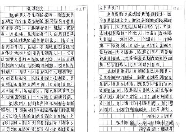 江堤维修申请报告解读:筑牢安全防线,守护绿水青山