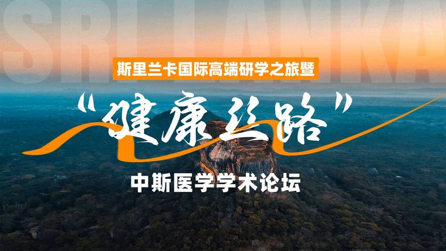 汽车故障维修技术报告解读:科技助力汽车健康之路