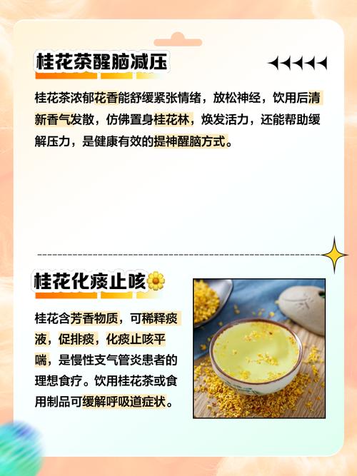 汽车维修报告_探索车辆健康之路