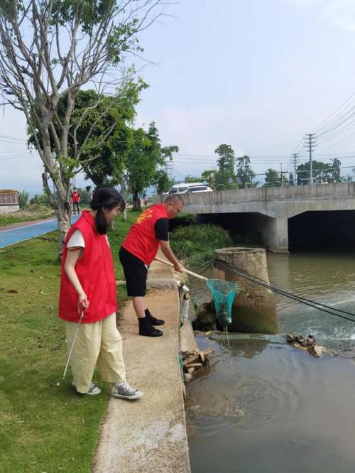 河道整治维修:构建生态绿色屏障,守护城市美丽家园