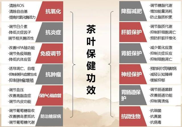 消防管道维修报告分析及前瞻