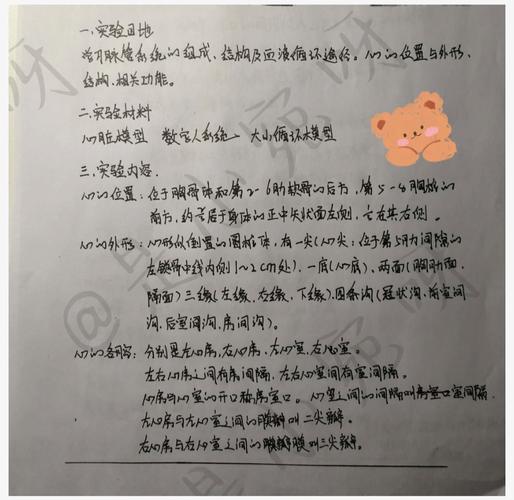 液力变矩器维修检测报告解读:汽车动力系统的“心脏”保养之路