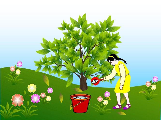 淤地坝维修资金报告解读:筑牢生态屏障,守护绿色家园
