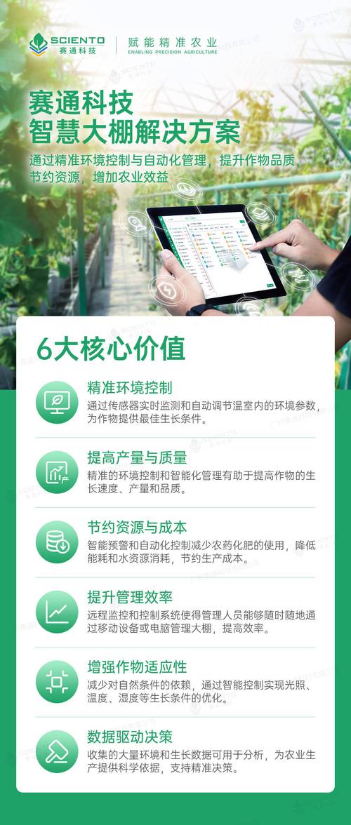 温室大棚维修报告解读：科技赋能农业发展新篇章