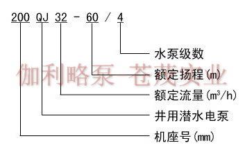 潜水泵井维修报告解读:技术创新与设备维护的典范