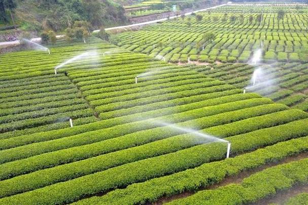 灌溉水管维修报告:保障农业灌溉,助力粮食安全