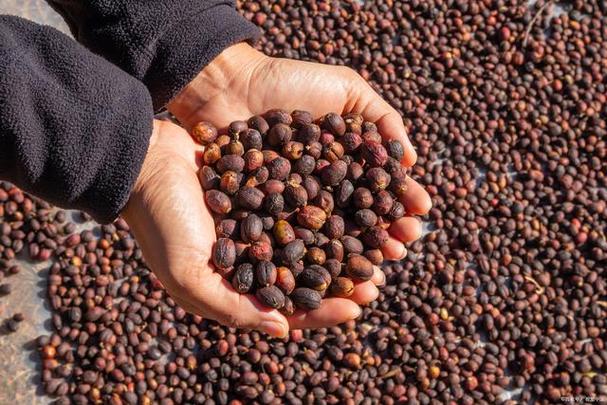 烘箱维修评审报告:技术革新与质量保障的完美融合