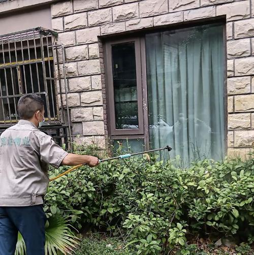 物业专项维修基金：守护家园的“保险箱”