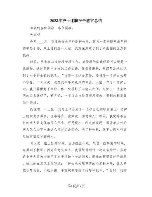 2023年技术维修年总结报告_展望与启示