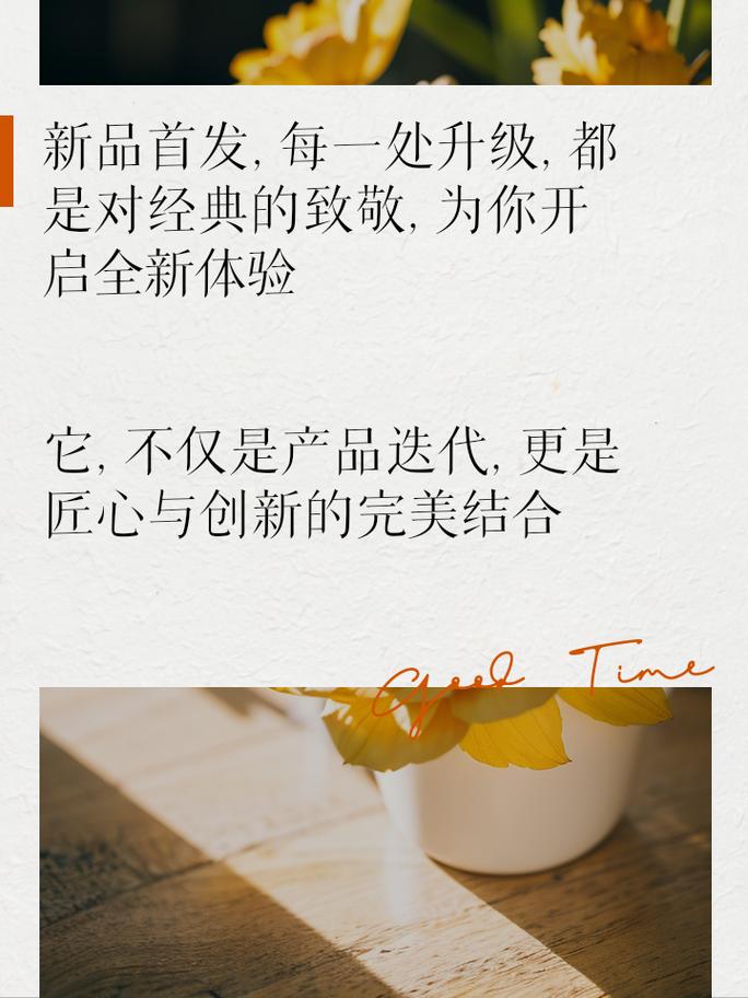 一类维修厂申报报告解读：匠心独运，服务升级