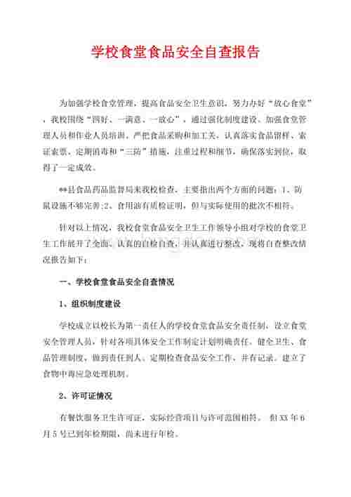 二类维修企业自查报告:以规范促发展,确保航空安全