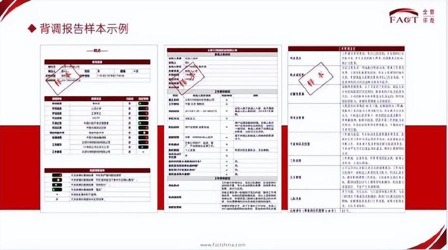 介绍微型维修工具评测报告:品质与创新未来维修潮流