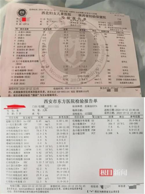 以下是根据维修工具专项检查报告撰写的文章: