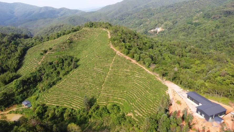 休闲湖维修项目申请报告解读:打造绿色生态新名片