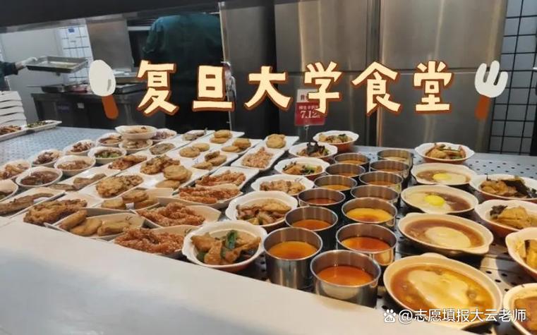 优化校园食堂设施，提升学生用餐体验_学生食堂维修申请报告解读