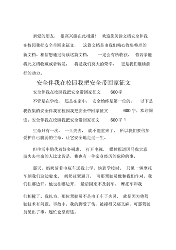 保障校园安全,提升教育品质_关于我校顶棚维修项目的申请报告