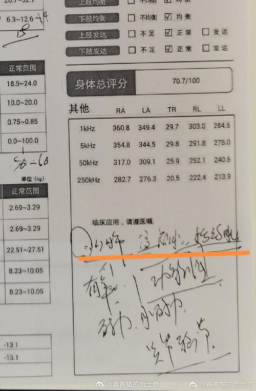 健身房电源维修申请报告解读:保障健身安全,提升用户体验