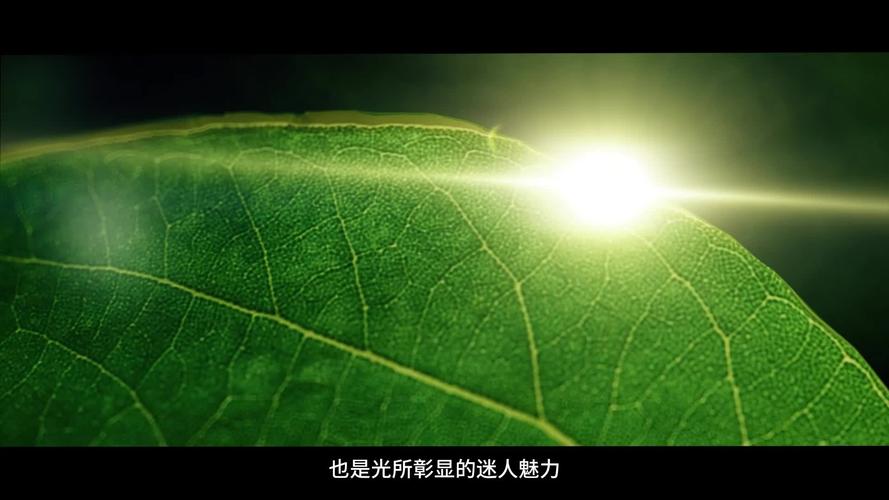 光伏维修,照亮绿色未来_浅析光伏维修情况报告