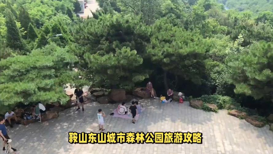 公园维修资金申请报告解读:守护城市绿肺,共筑美好家园