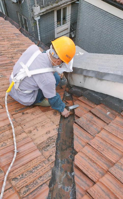 公房售后维修申请报告解读:守护城市脉搏,共筑温馨家园