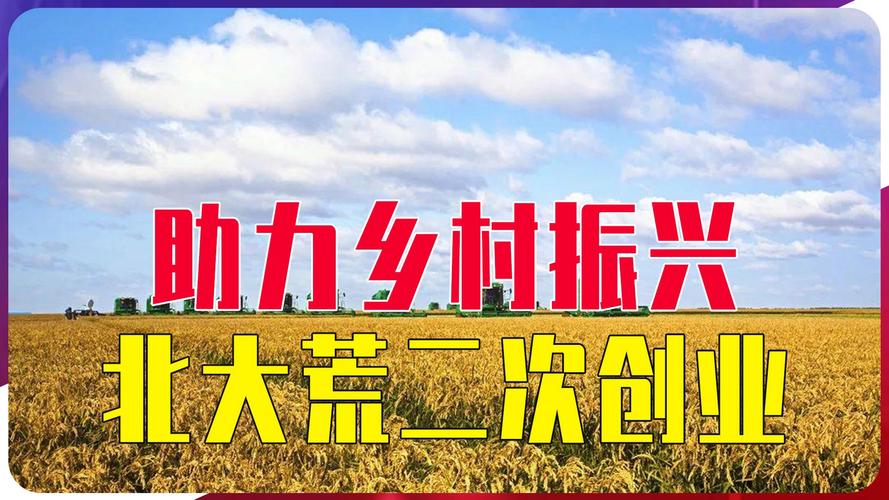 农村公路工程维修报告解读:为乡村振兴提供坚实交通保障