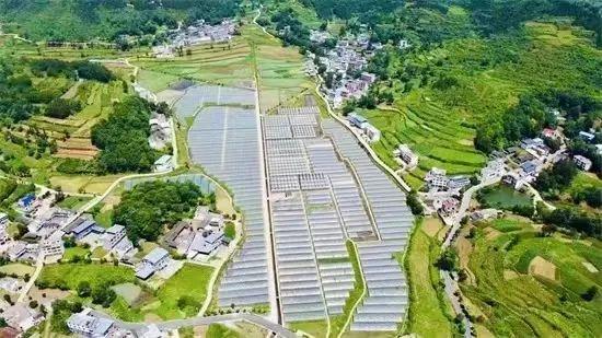农村鱼塘维修：守护绿色财富，助力乡村振兴