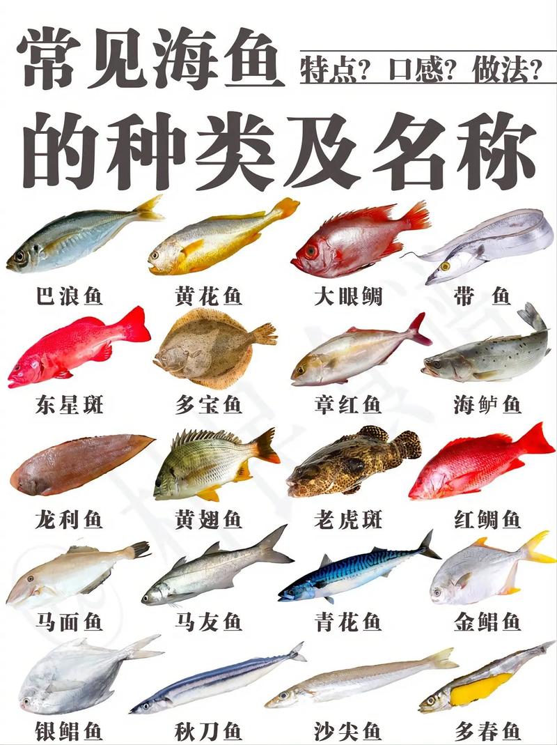 冷库售后维修申请报告解读:保障冷链物流,筑牢食品安全防线