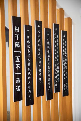加强村塘基维修,筑牢乡村振兴基石