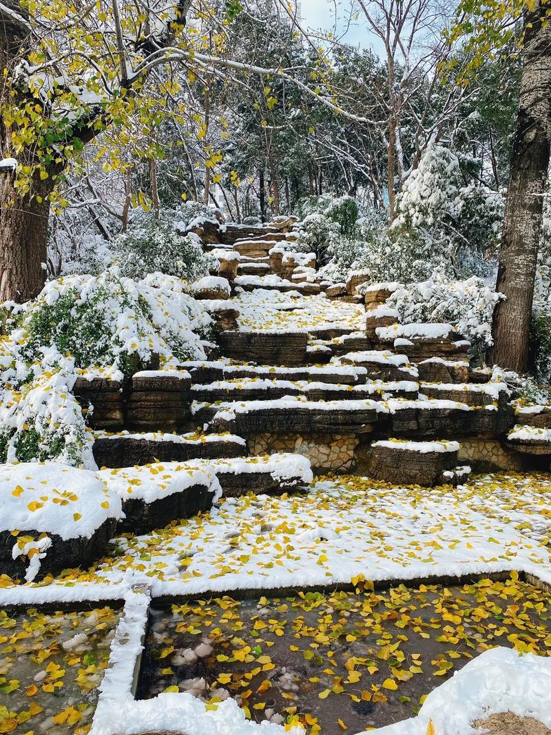 厂房下雪维修申请报告解读与分析