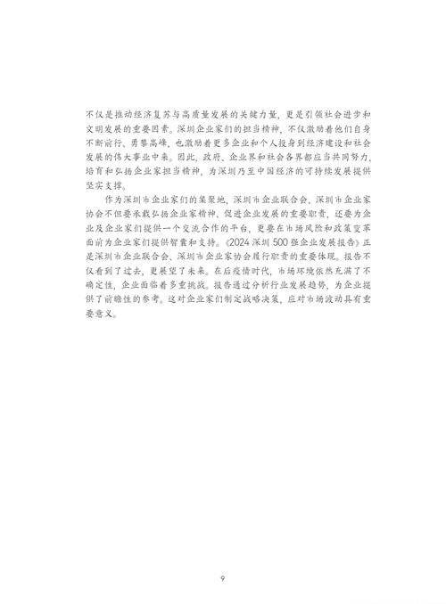 发电机外聘人员维修报告介绍及前瞻