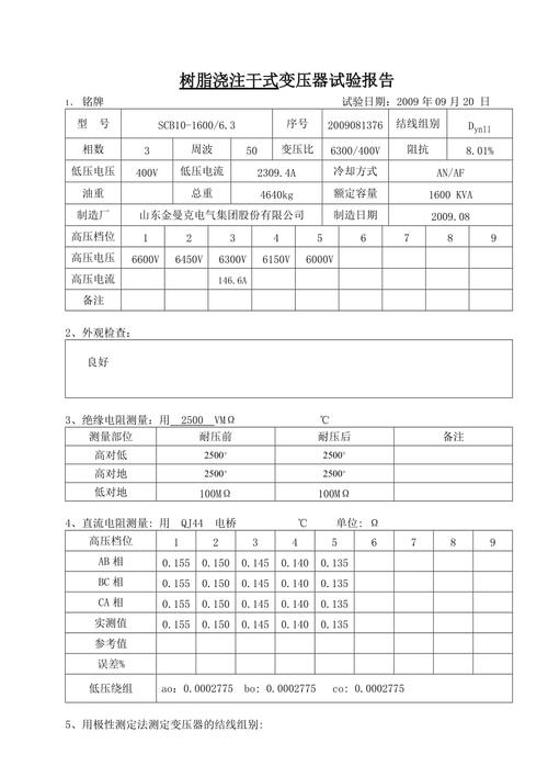 变压器漏油维修试验报告解读：确保电力设备安全稳定运行