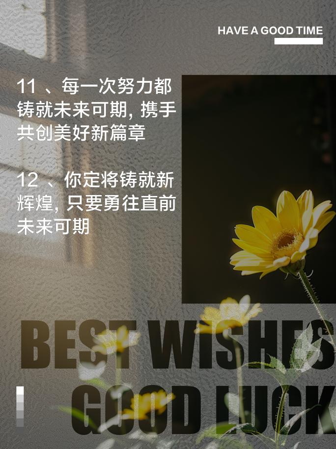 古桥维修难题介绍与未来展望