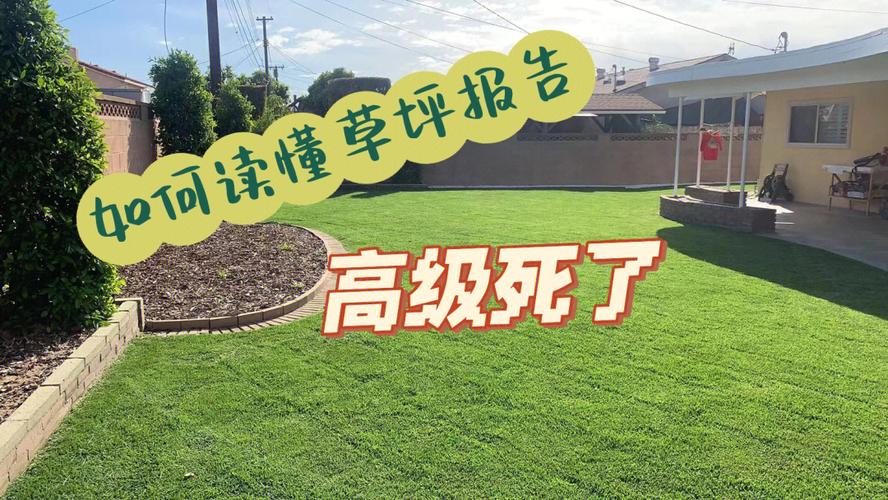场草坪维修报告:呵护绿色家园,共建美好环境