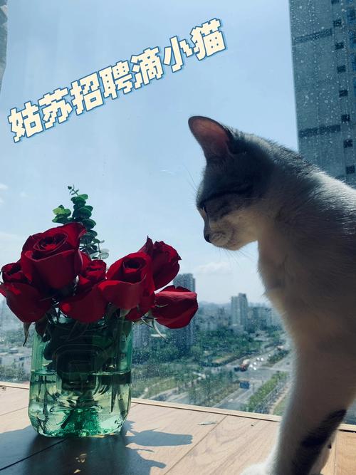 城市脉搏的守护者_记广场维修工的转正之路