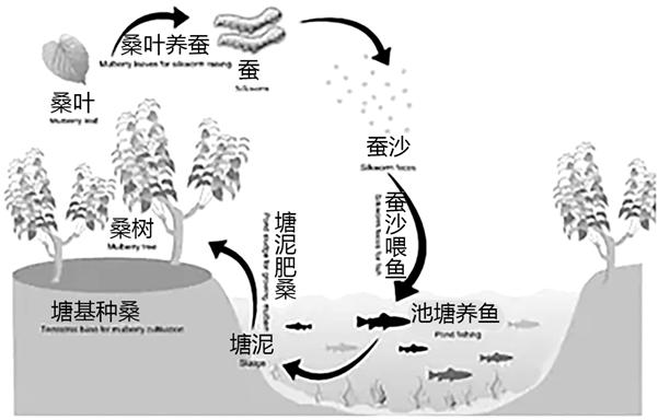 塘基维修,筑牢民生根基_关于维修塘基申请报告的详细介绍