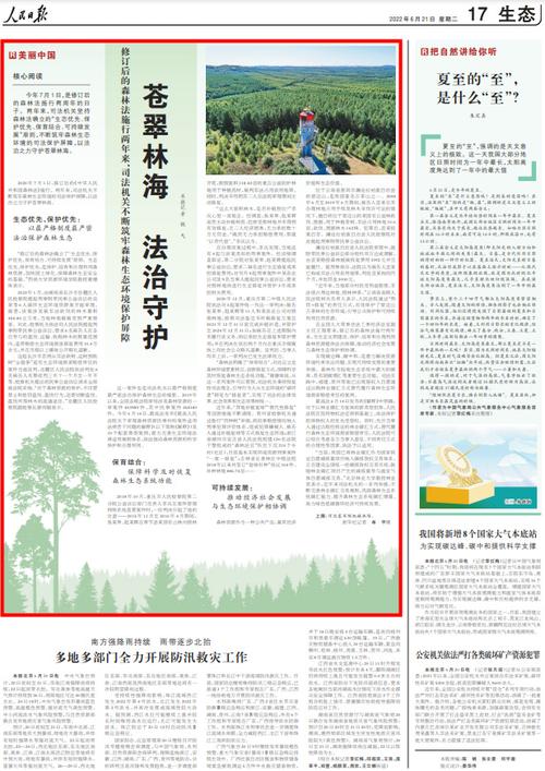 塘堤维修申请报告解读：筑牢防洪屏障，守护家园安宁