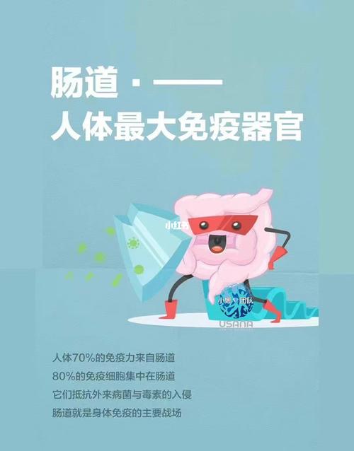 大厦化粪池维修报告解读：守护城市“肠道”的健康