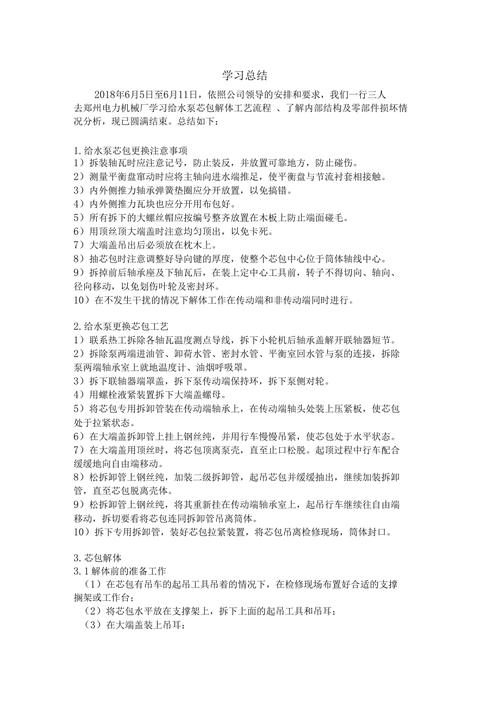 大型泵维修总结报告_经验与启示