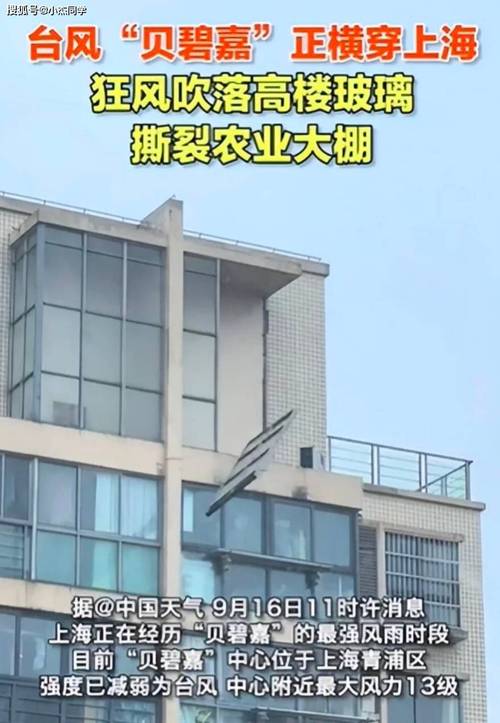 大棚维修申请报告:保障农业发展,筑牢农业基础