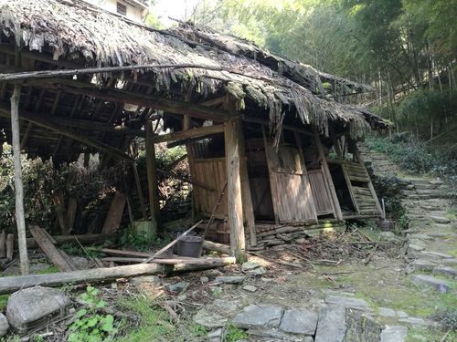 学校柴棚维修：保障校园安全，提升环境品质