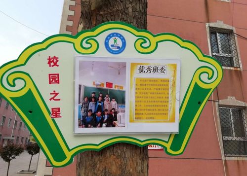 学校维修建设预算报告解读:助力教育事业发展,构建和谐校园
