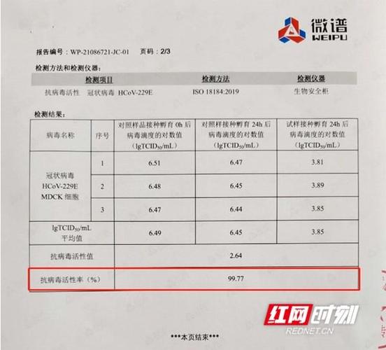 学校维修费用报告解读:守护校园,筑牢教育基石