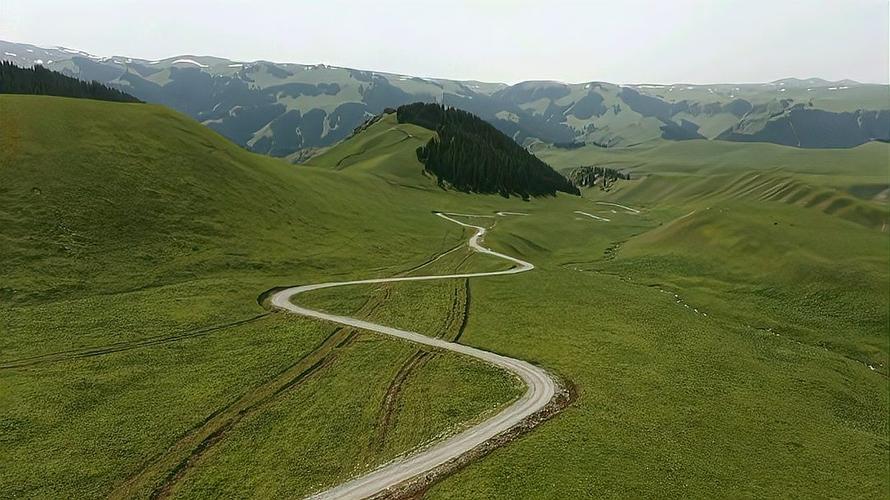 守护生态家园，共建绿色牧道_基于维修牧道报告的分析与展望