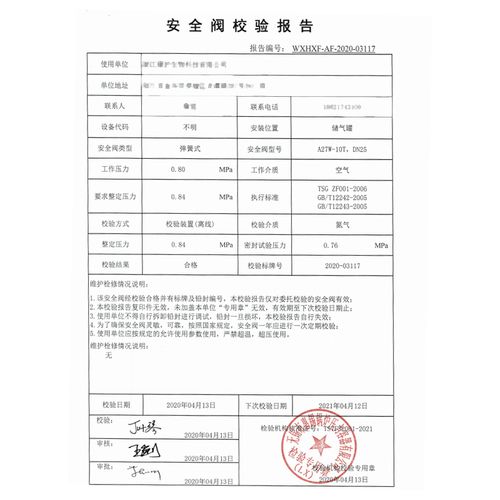 安全阀检验维修业务报告解读:守护生命线的守护者