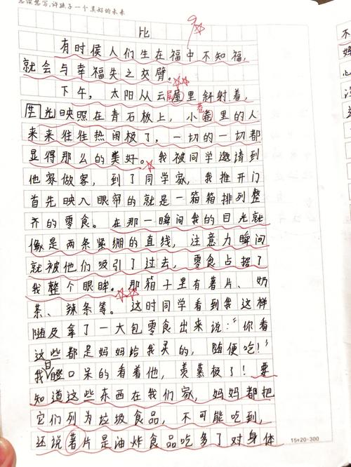 宿舍维修报告背后的故事:校园生活质量的提升之路