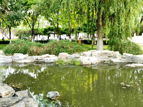 小区水景池维修:守护绿色家园,提升居住品质