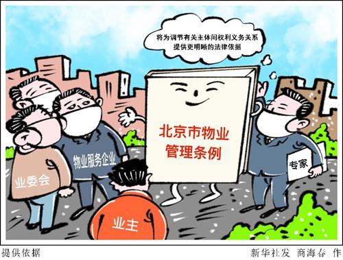小区院墙维修报告解读:筑牢家园防线,共筑美好生活