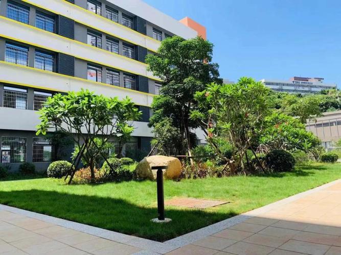 小学维修报告三十九天:重焕生机的校园角落