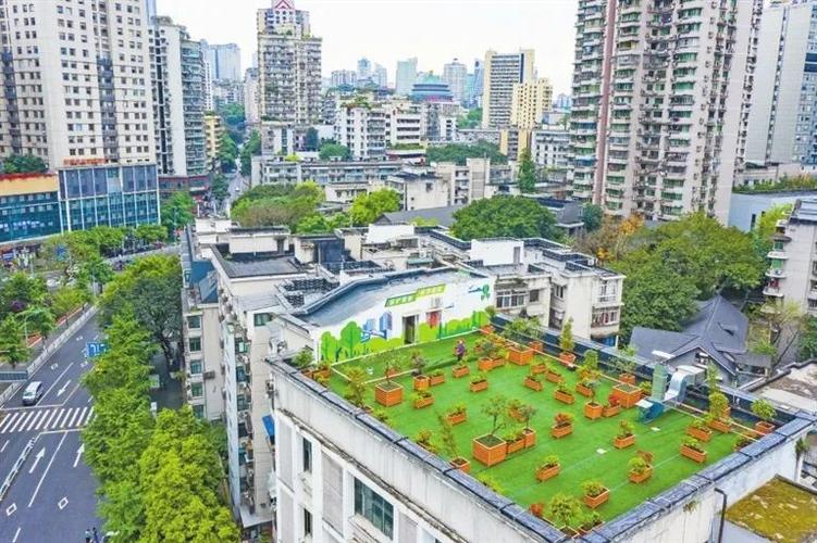屋顶焕新,共筑和谐家园_小区屋顶维修申请报告解读