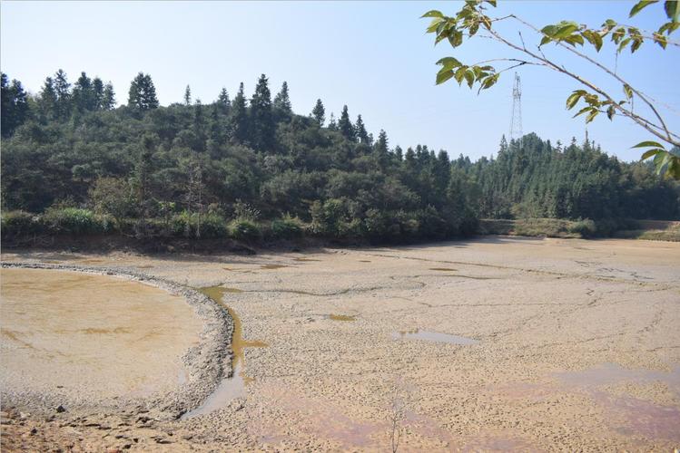山塘维修申请报告：传承古韵，守护碧水家园